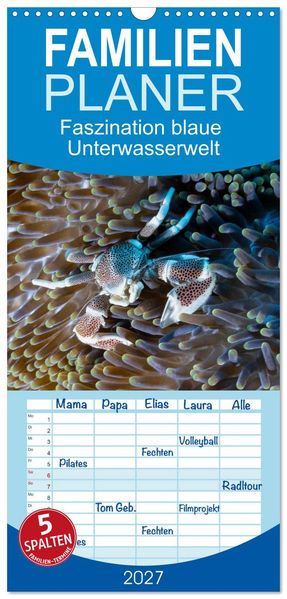 Familienplaner 2027 - Faszination blaue Unterwasserwelt mit 5 Spalten (Wandkalender 21 x 45 cm) CALVENDO