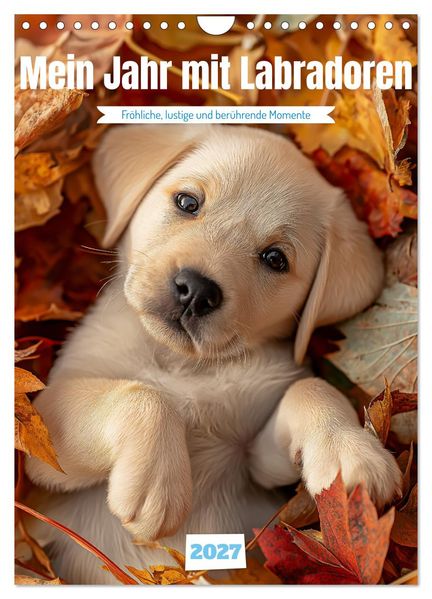Mein Jahr mit Labradoren (Wandkalender 2027 DIN A4 hoch) CALVENDO Monatskalender