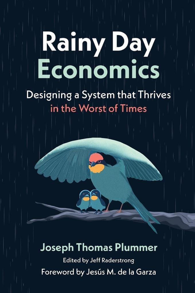 Rainy Day Economics