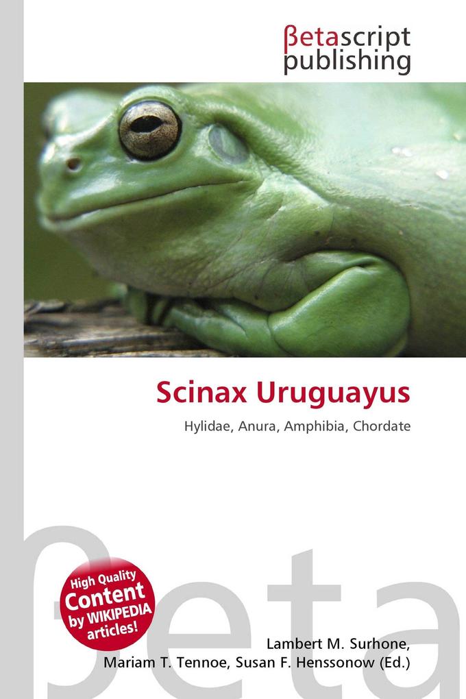Scinax Uruguayus
