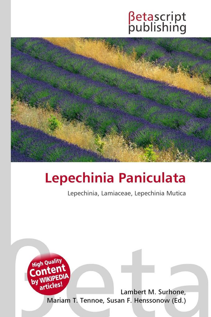 Lepechinia Paniculata