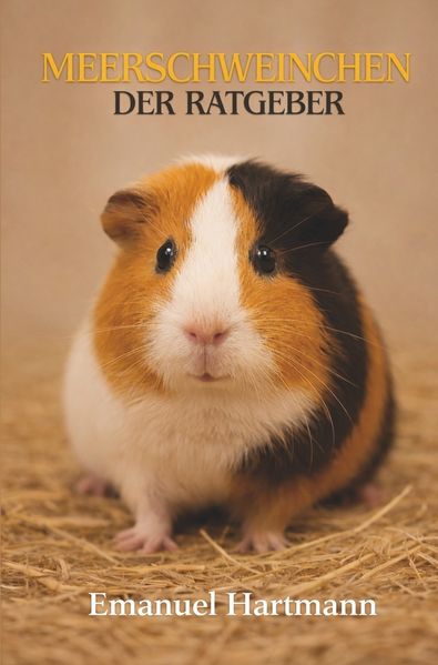 Meerschweinchen