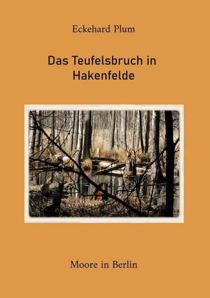 Das Teufelsbruch in Hakenfelde
