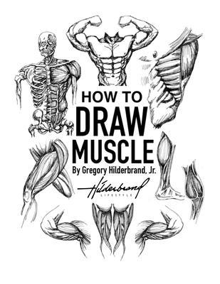 How to Draw Muscles