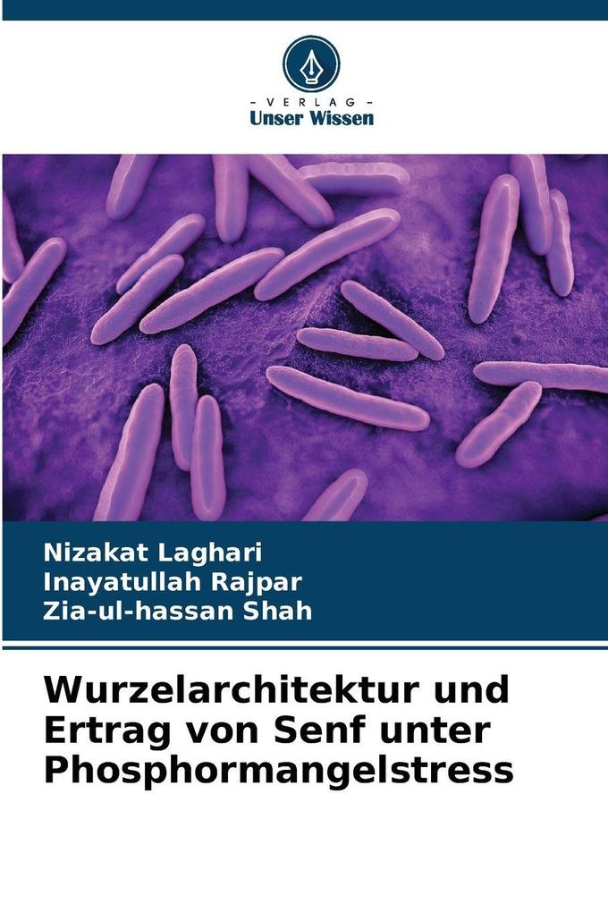 Wurzelarchitektur und Ertrag von Senf unter Phosphormangelstress