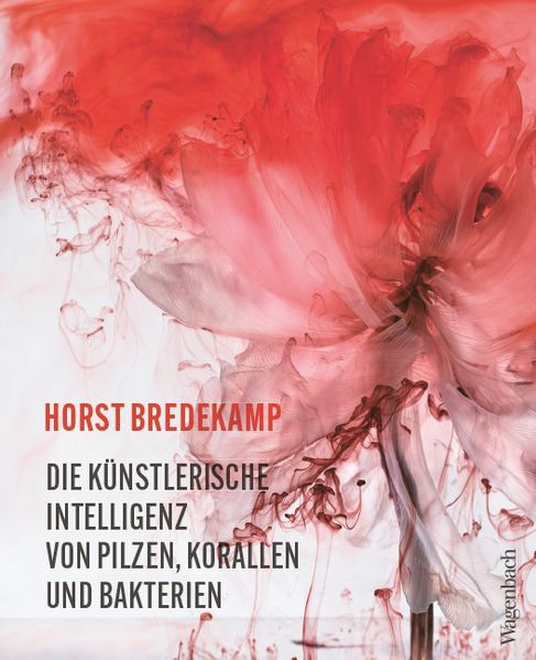 Die künstlerische Intelligenz von Pilzen Korallen und Bakterien