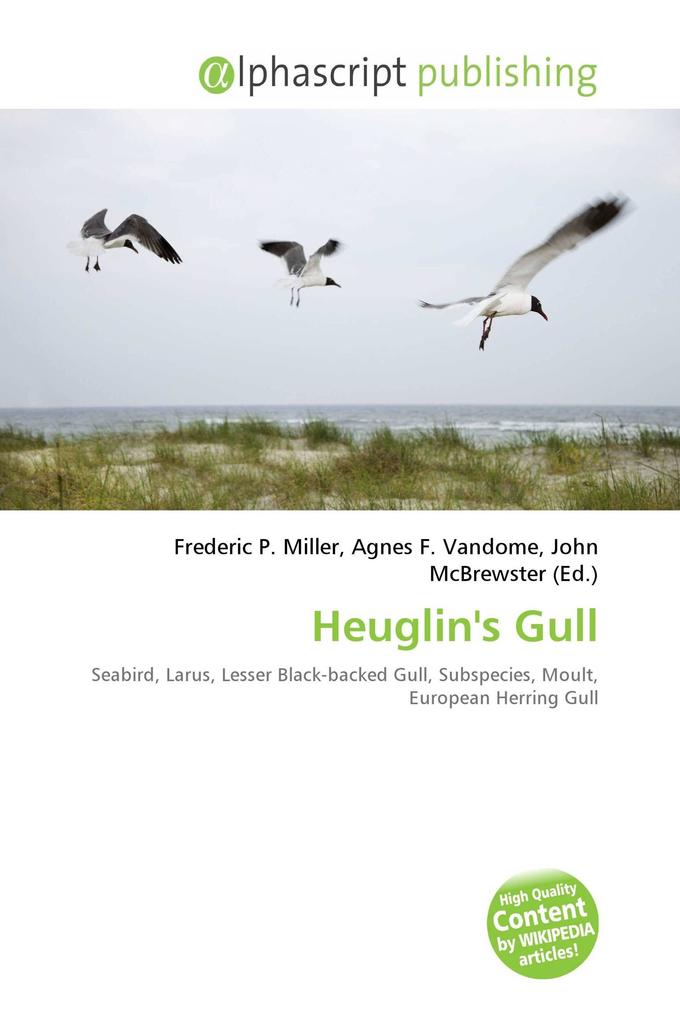 Heuglin's Gull