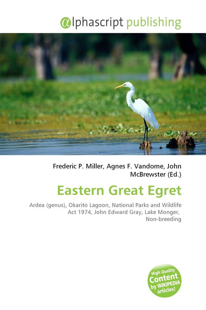 Eastern Great Egret