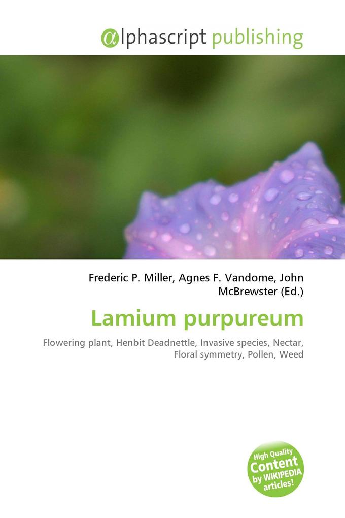 Lamium purpureum