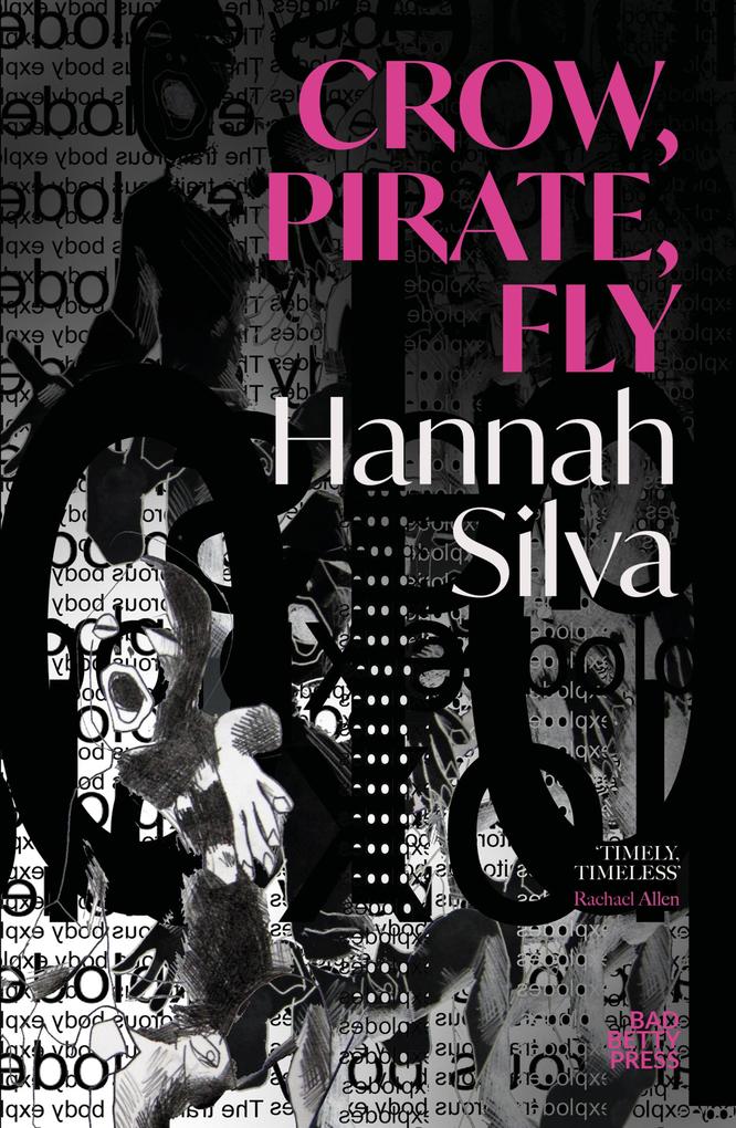 Crow Pirate Fly