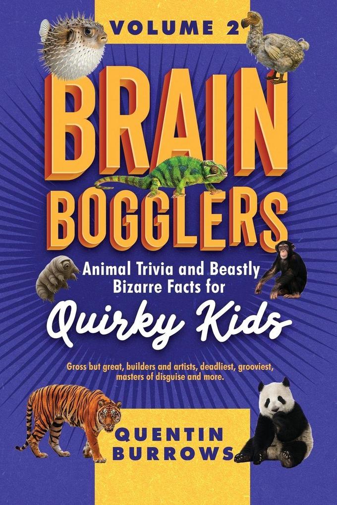 Brain Bogglers