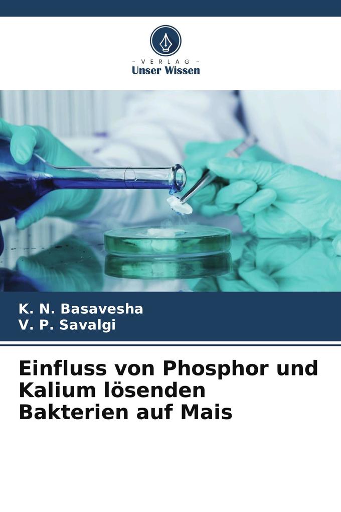 Einfluss von Phosphor und Kalium lösenden Bakterien auf Mais