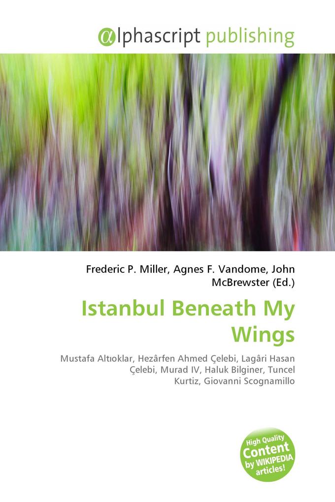 Istanbul Beneath My Wings