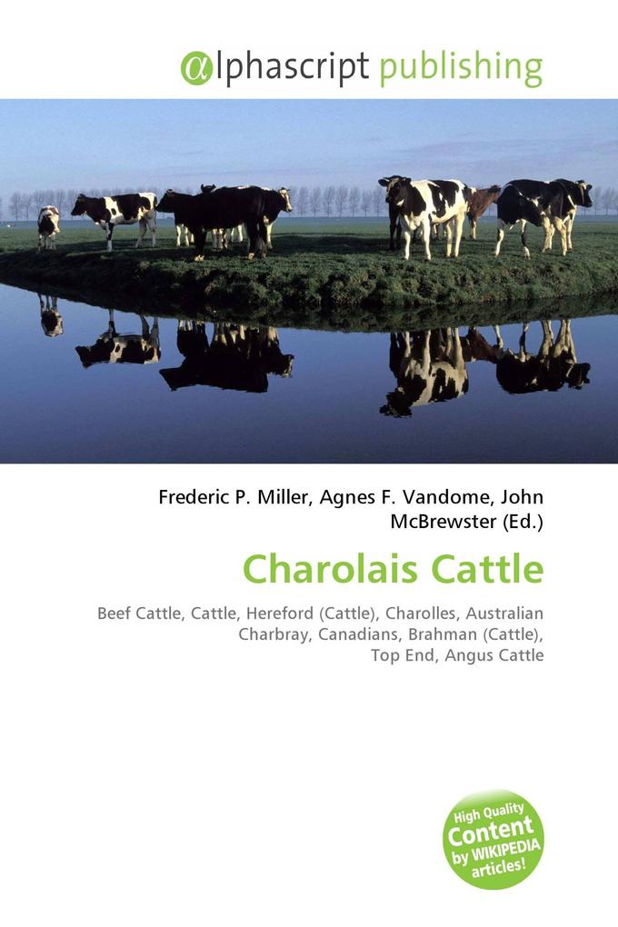 Charolais Cattle