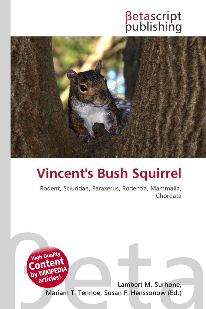 Vincent's Bush Squirrel
