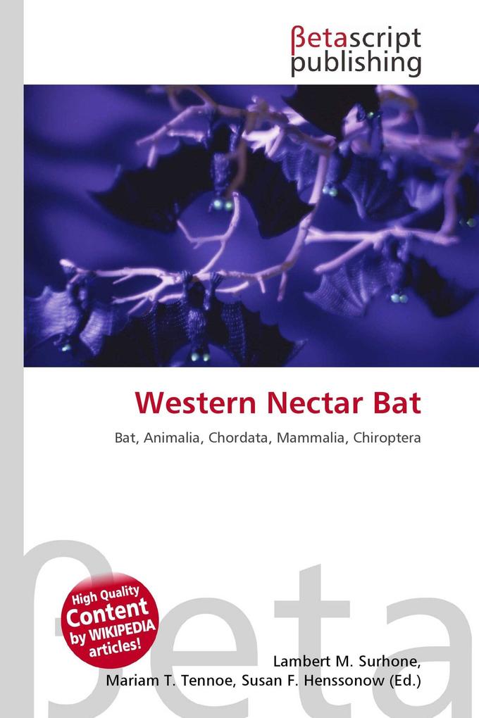 Western Nectar Bat