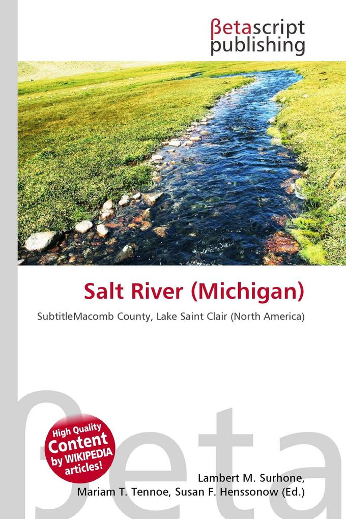Salt River (Michigan)