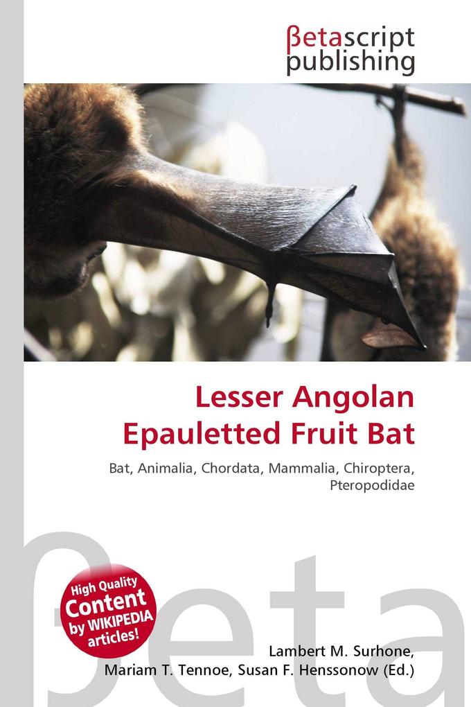 Lesser Angolan Epauletted Fruit Bat