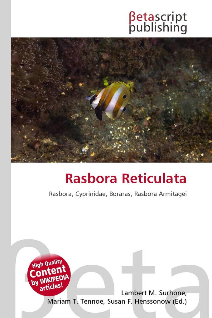Rasbora Reticulata