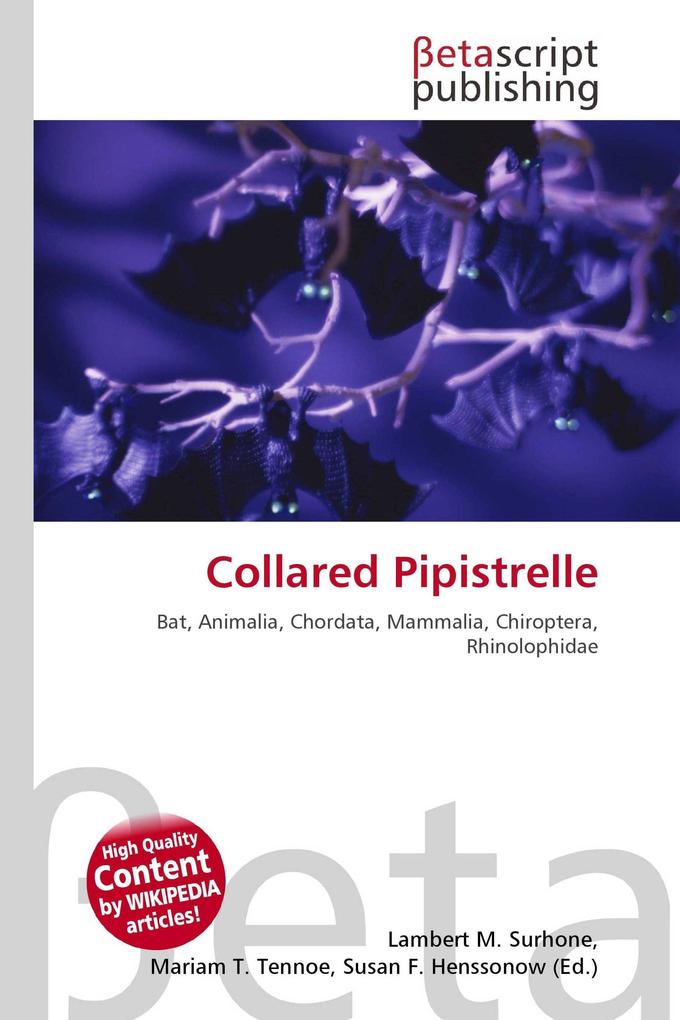 Collared Pipistrelle