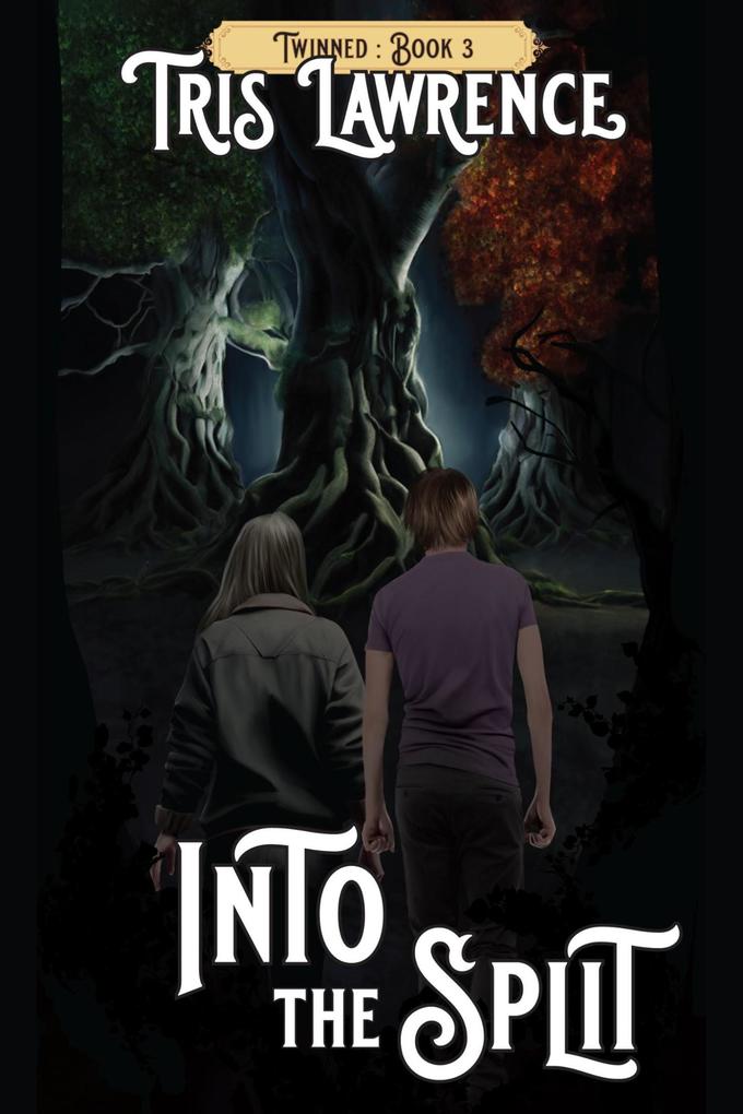 Into the Split (Twinned #3)
