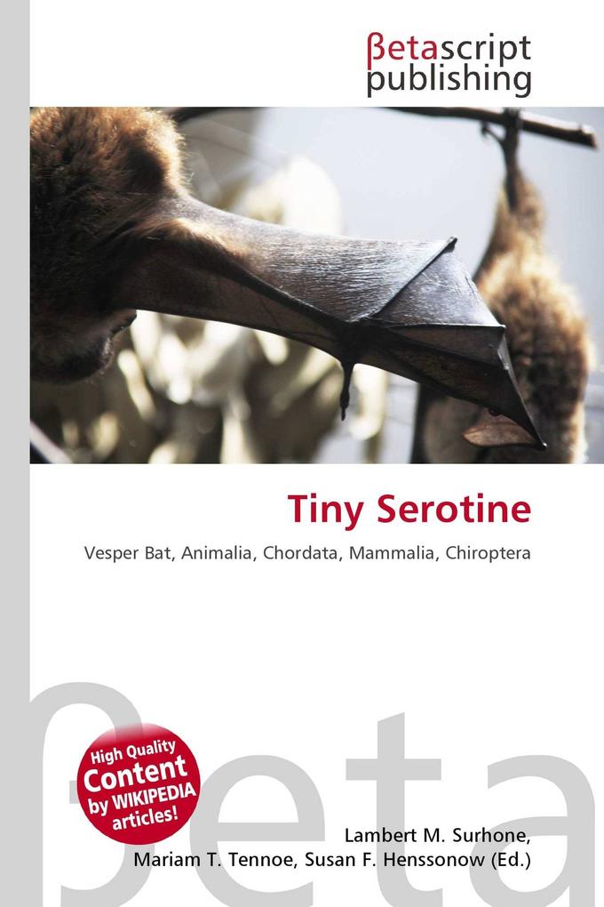 Tiny Serotine
