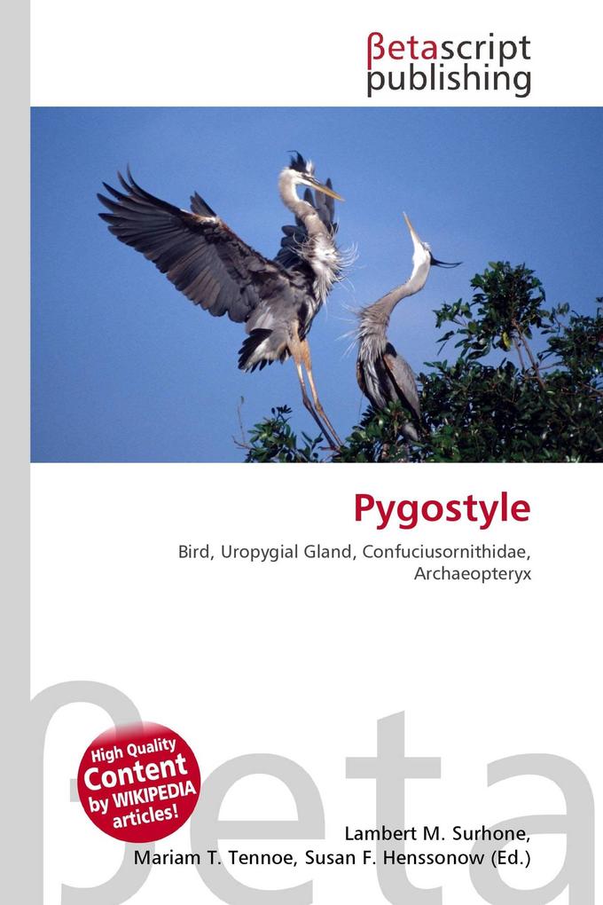 Pygostyle