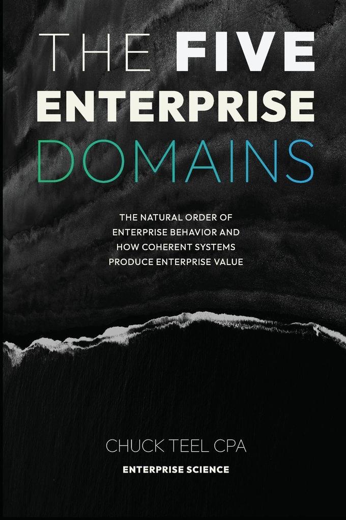 The Five Enterprise Domains