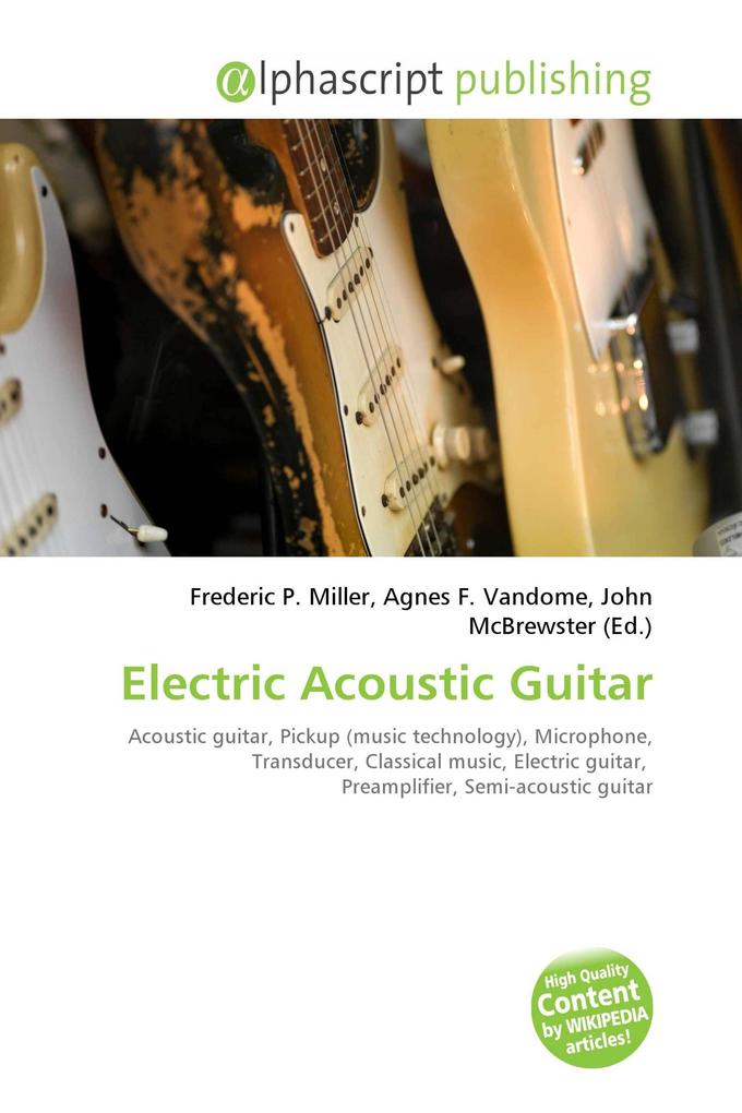 Electric Acoustic Guitar