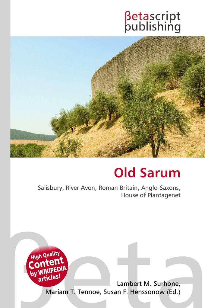 Old Sarum