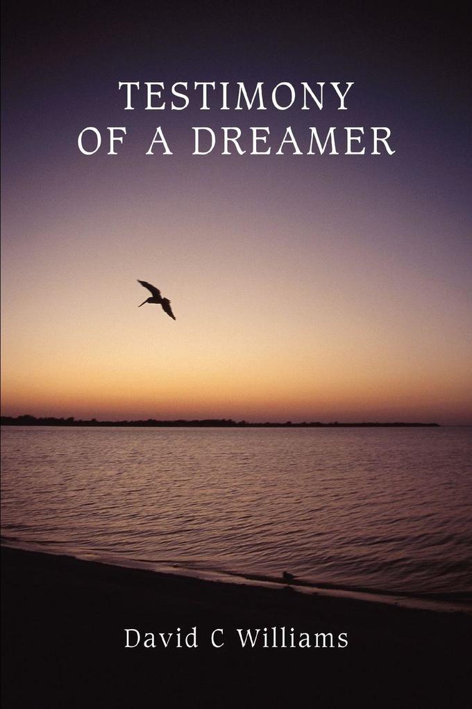 Testimony Of A Dreamer