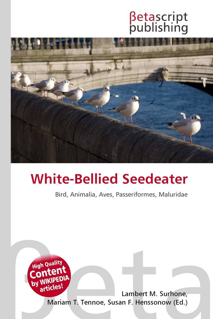 White-Bellied Seedeater