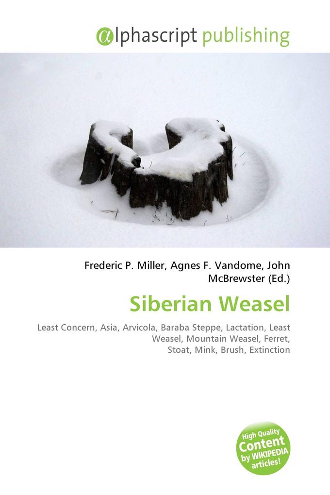 Siberian Weasel