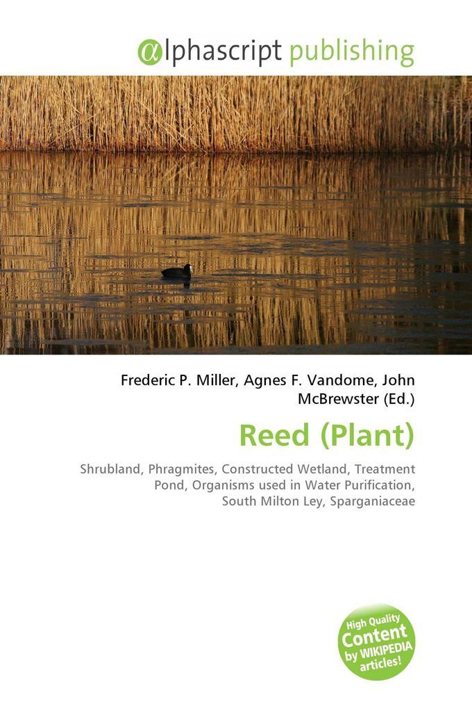 Reed (Plant)