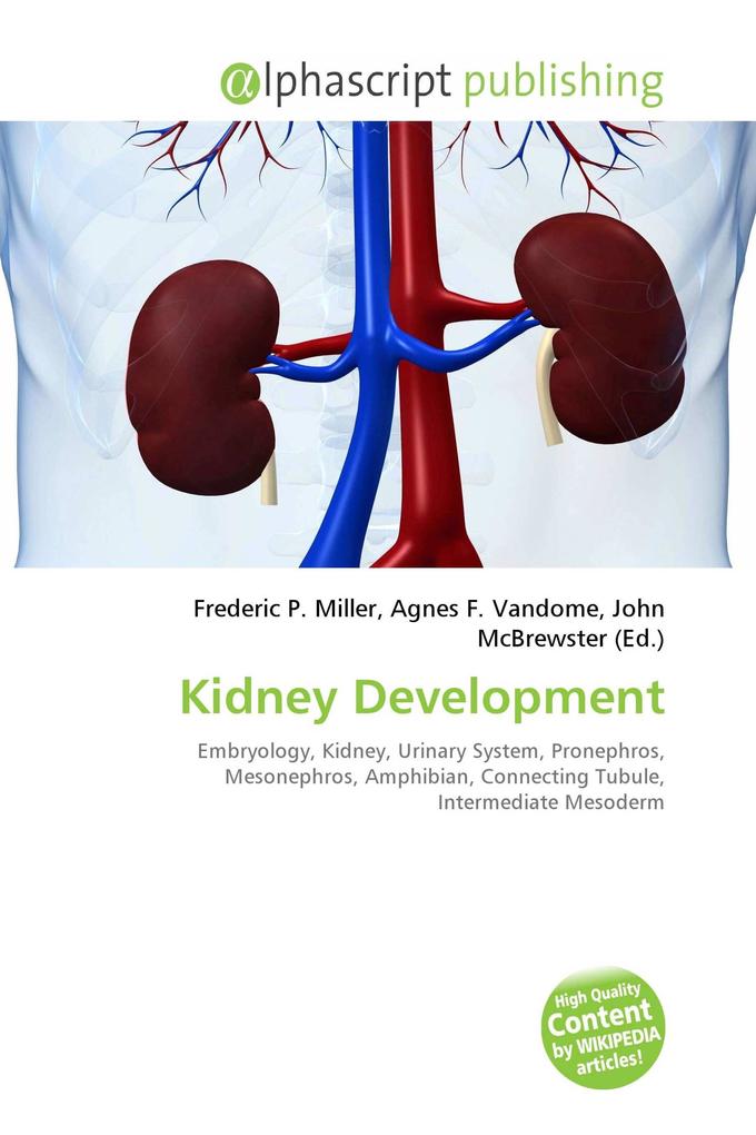 Kidney Development