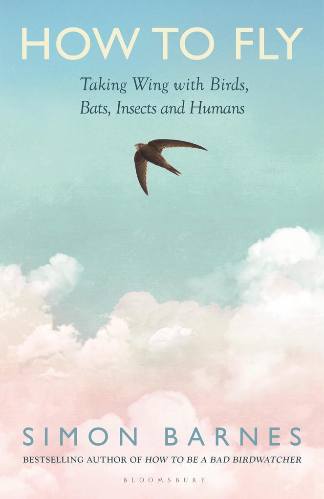 How to Fly