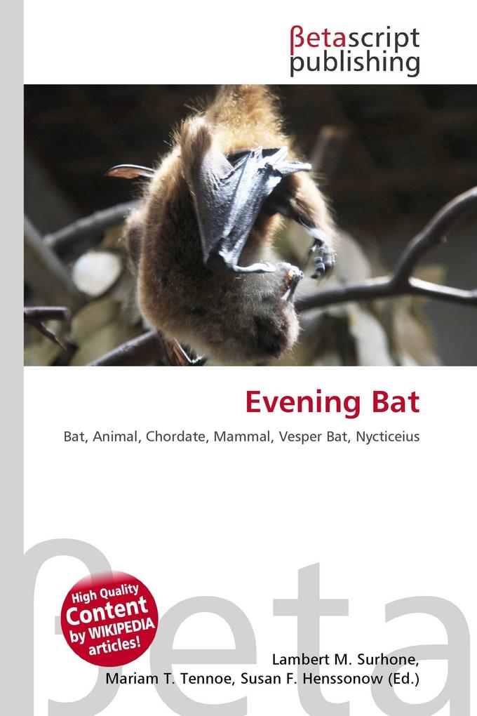 Evening Bat