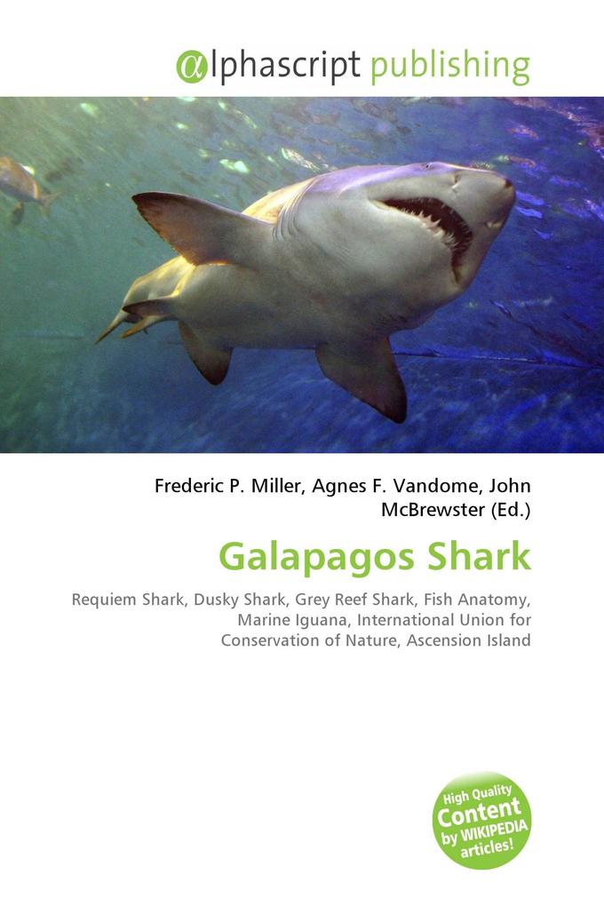 Galapagos Shark