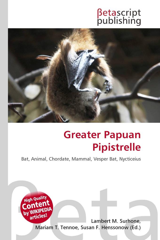 Greater Papuan Pipistrelle