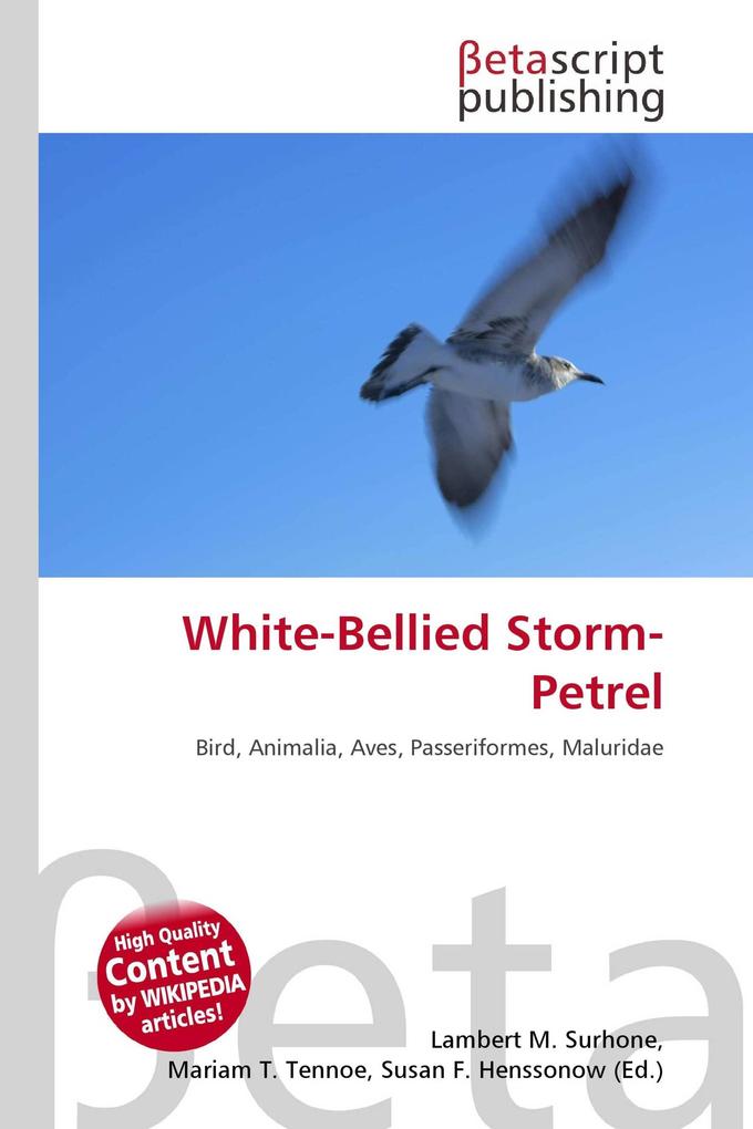 White-Bellied Storm-Petrel