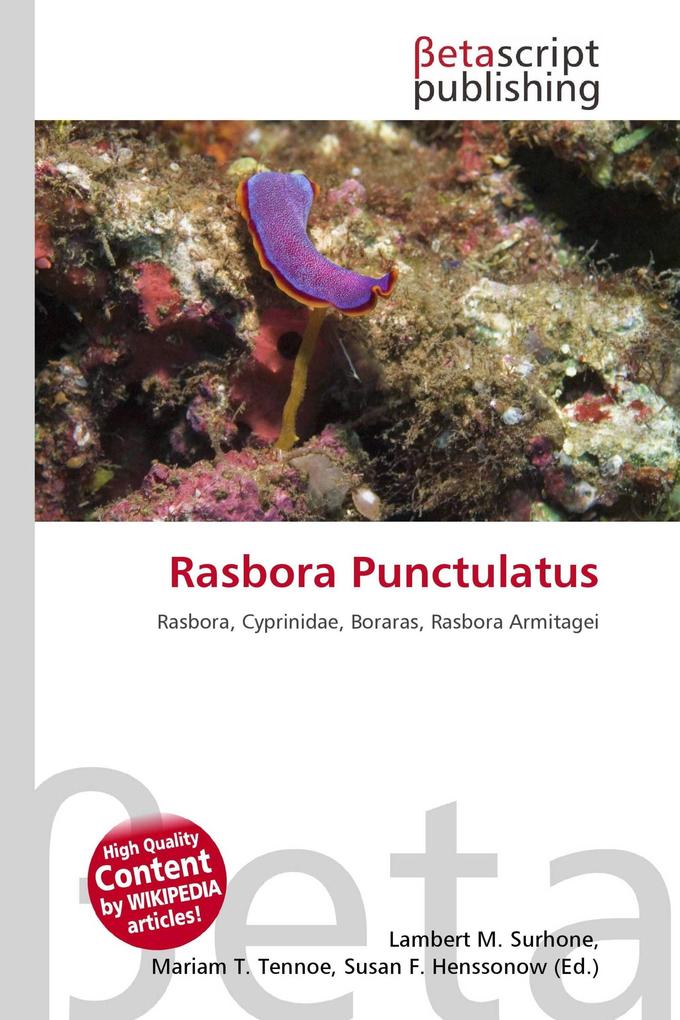 Rasbora Punctulatus