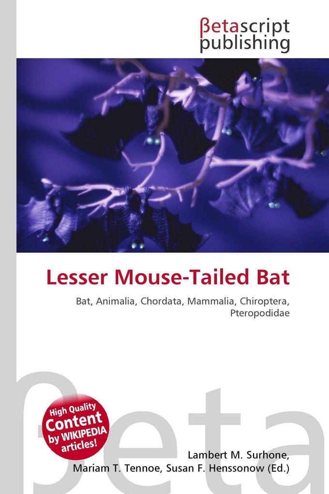Lesser Mouse-Tailed Bat