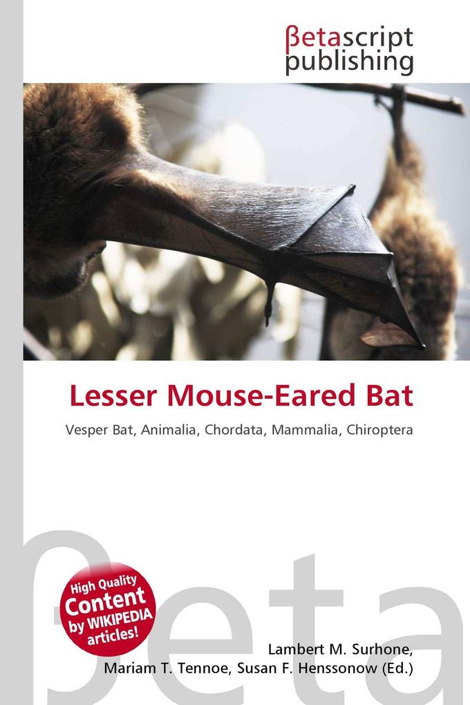 Lesser Mouse-Eared Bat