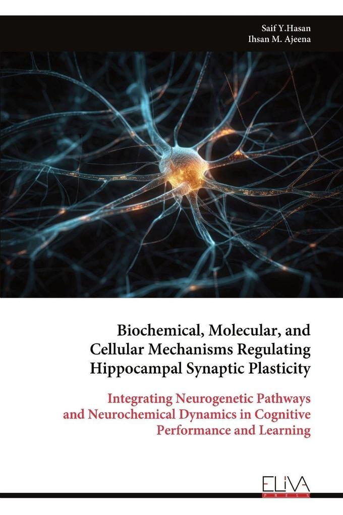 Biochemical Molecular and Cellular Mechanisms Regulating Hippocampal Synaptic Plasticity