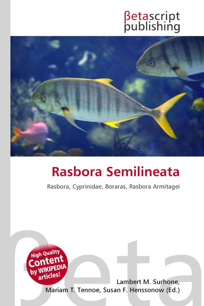 Rasbora Semilineata