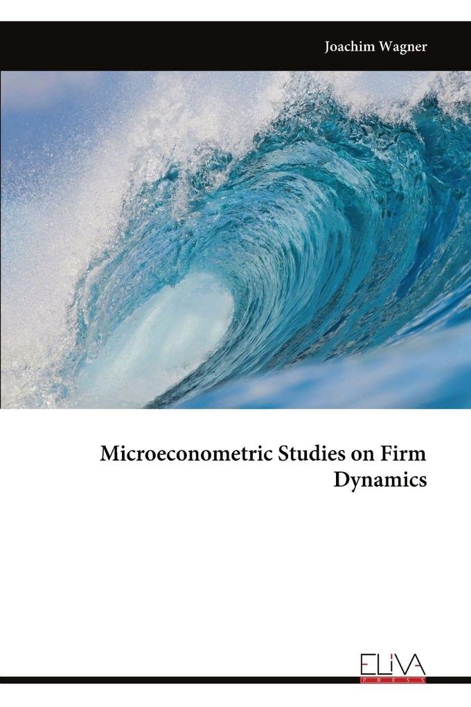 Microeconometric Studies on Firm Dynamics