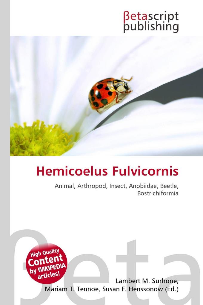 Hemicoelus Fulvicornis