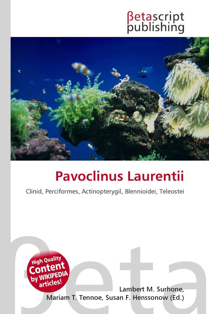 Pavoclinus Laurentii