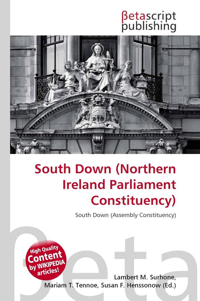 South Down (Northern Ireland Parliament Constituency)