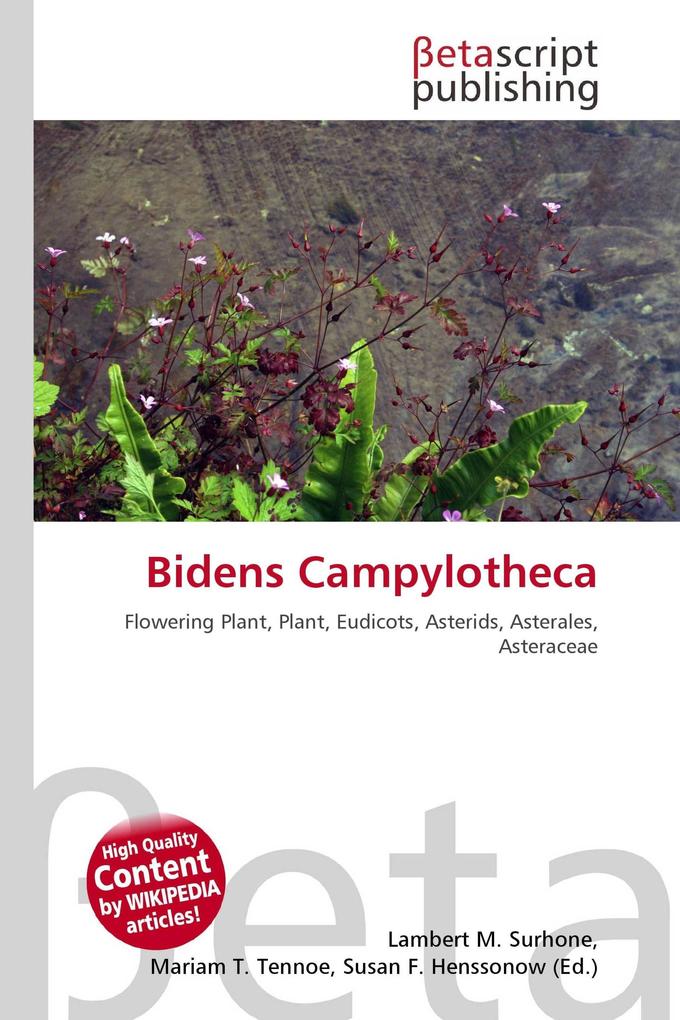Bidens Campylotheca